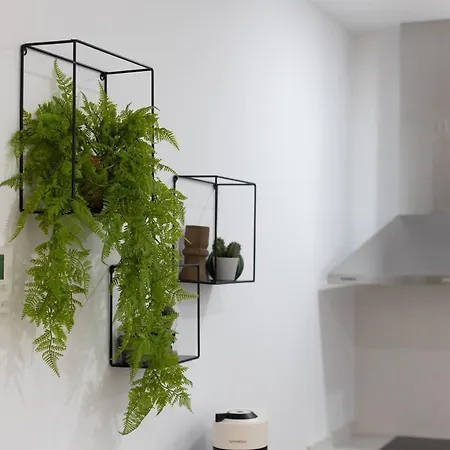 Dormforyou Arena Standard Lägenhetshotell